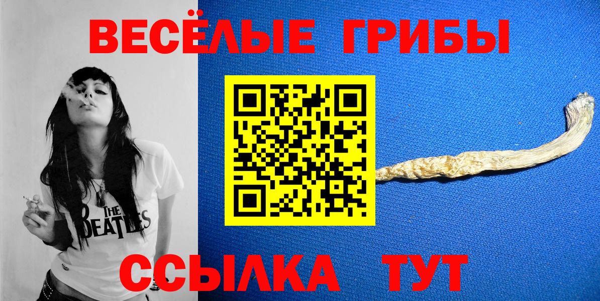 Галлюциногенные грибы мухоморы Красный Сулин