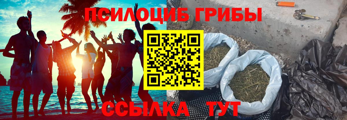 Галлюциногенные грибы ЛСД  Галлюциногенные грибы мухоморы  Красный Сулин  Вход с VPN 